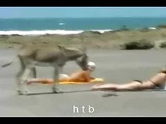 شاب مارس الجنس افلام سكسي مغربي مع عمة من ذوي الخبرة مع ديك صغير